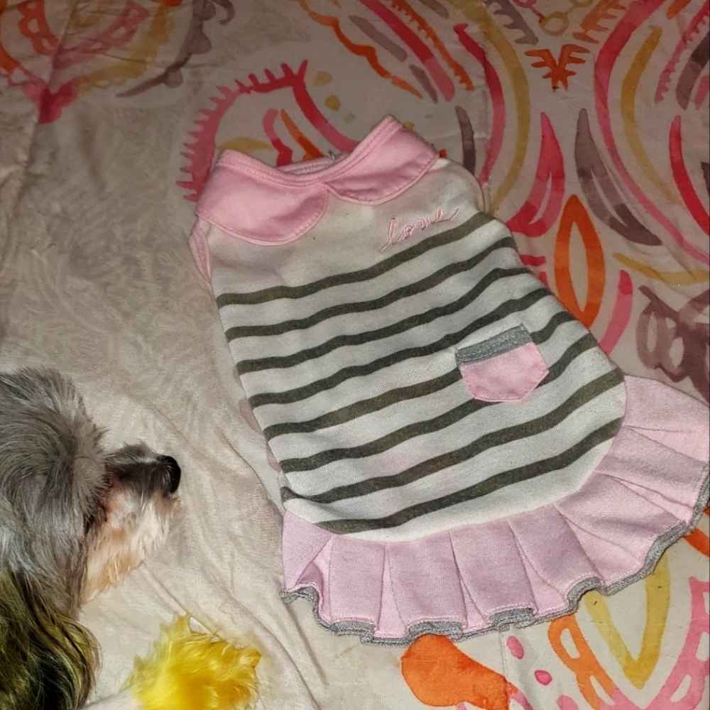 Ellen Degeneres Puppy 🐶 Dress with Ruffle pleated hem pink colar.. X small